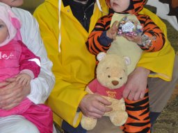 DSC_0317-2_web